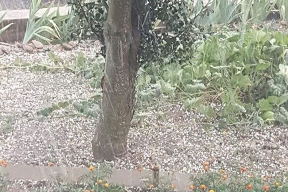 granizo, Valpaços, Carrazedo de Montenegro