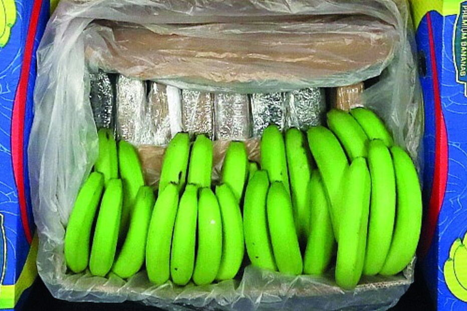 Cocaína vinha escondida nas bananas