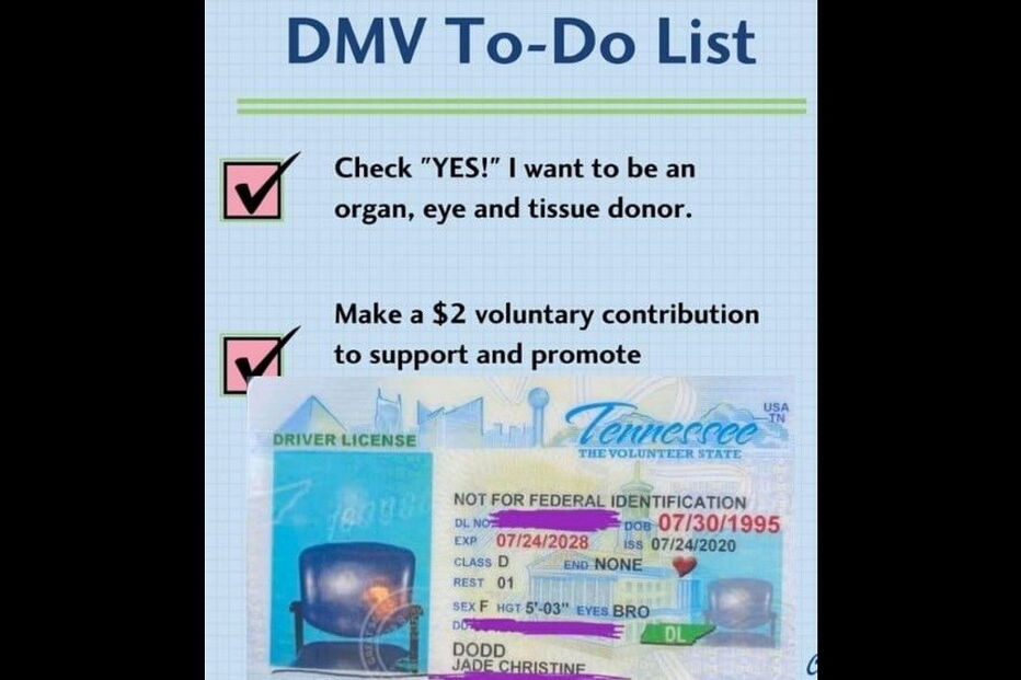 2020-08-13_12_33_52 09-carta.jpg