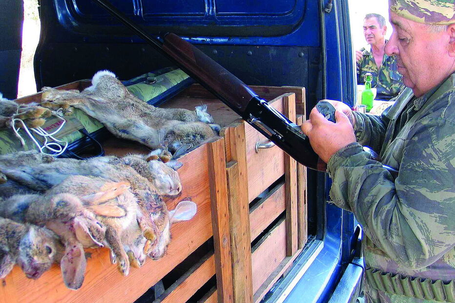 Caça à lebre com cães arranca no próximo mês e termina no dia 28 de fevereiro. Movimento Mais Caça pensa que efetivo de animais já não justifica a sua caçada 