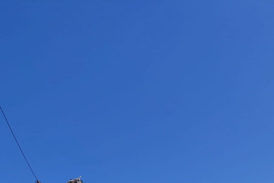 Jovem de 20 anos atingida por embarcação enquanto praticava mergulho no Algarve