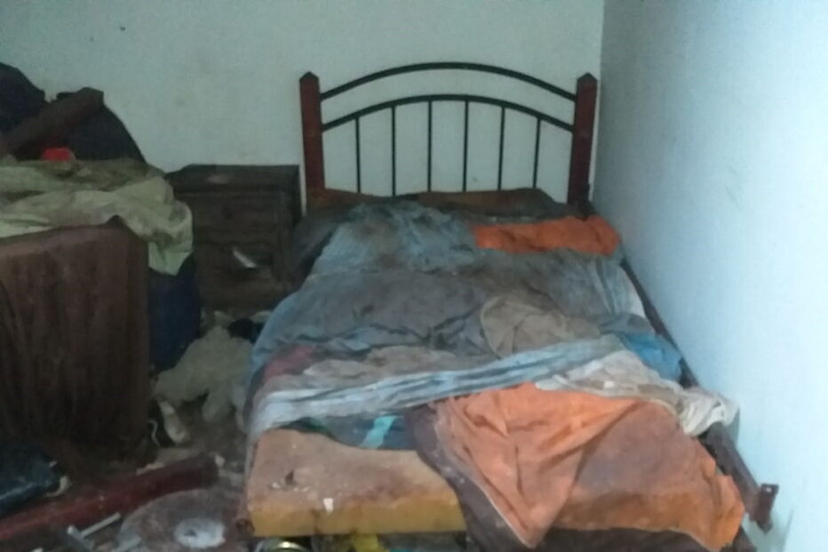 Ativistas e moradores resgatam animais no Porto que viviam no meio de carcaças em decomposição