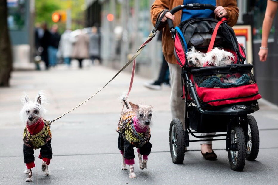 2020-08-19_14_43_28 GettyImages-1140224741.jpg