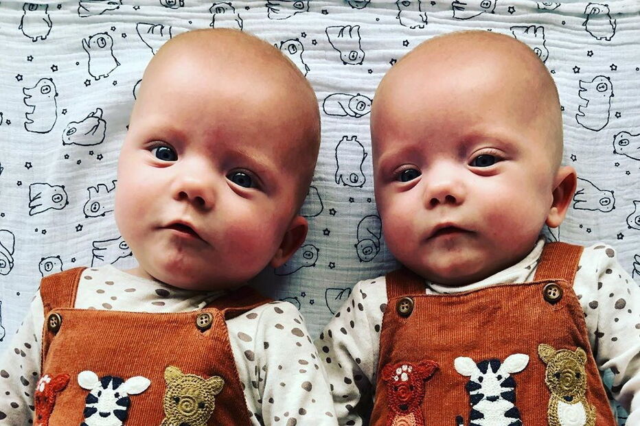 gémeos, Dylan e Oscar