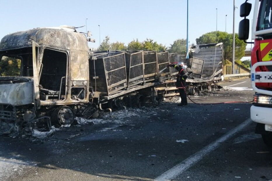 Polícia francesa mata a tiro motorista português