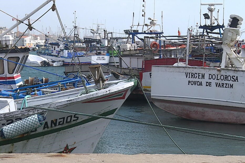 pesca, Vila do Conde