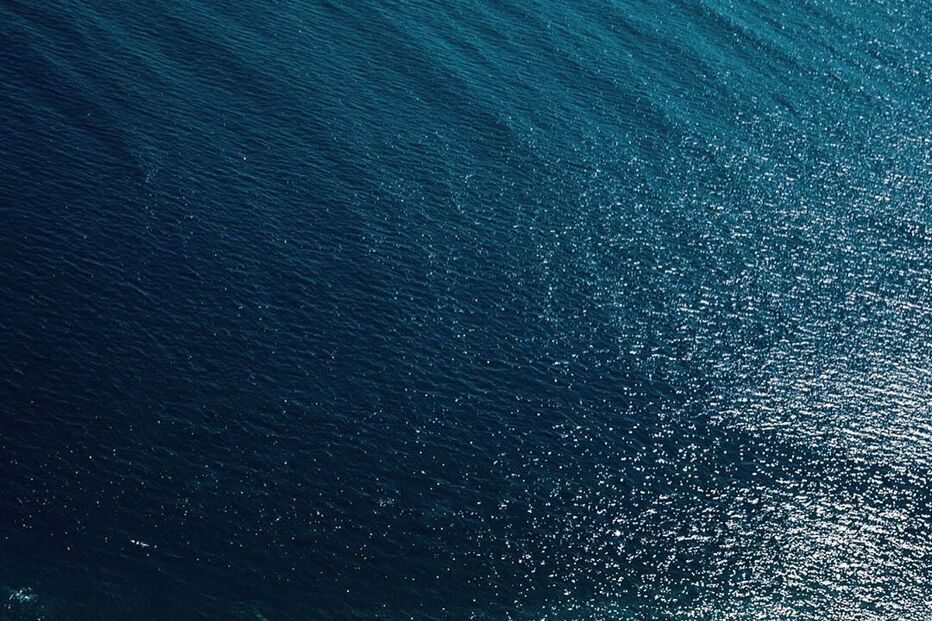 Sara Matos, Pedro Teixeira