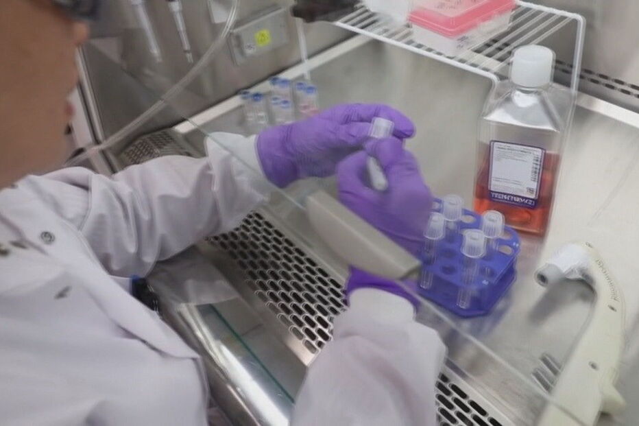 Gang do gás mata distribuidor de 27 anos à facada em Sintra