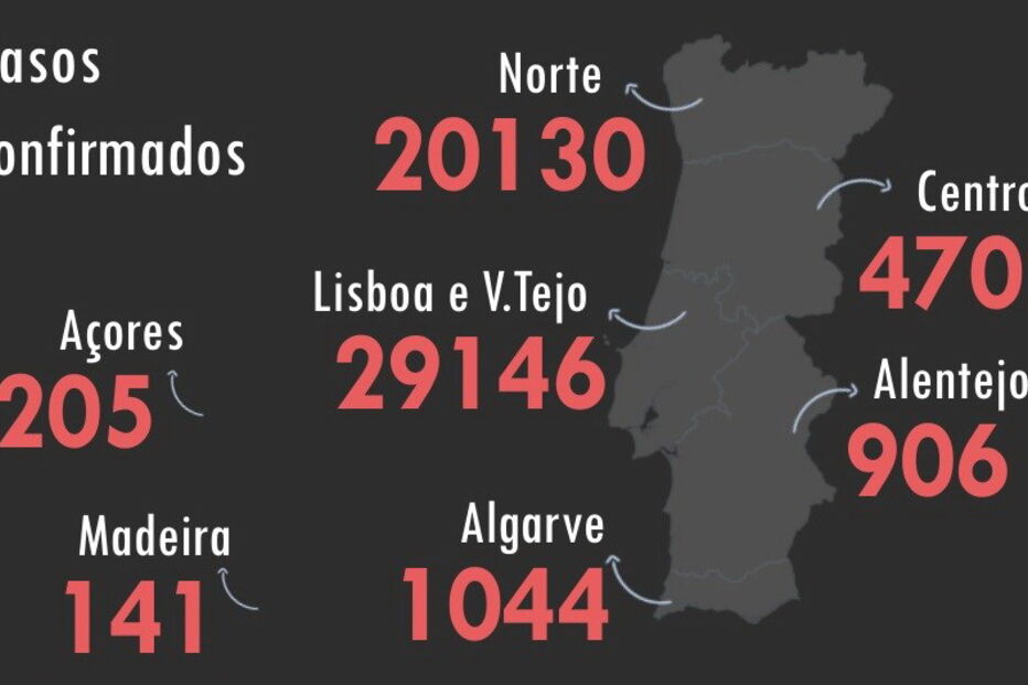 Cão colhido após sair de hotel para animais no Porto
