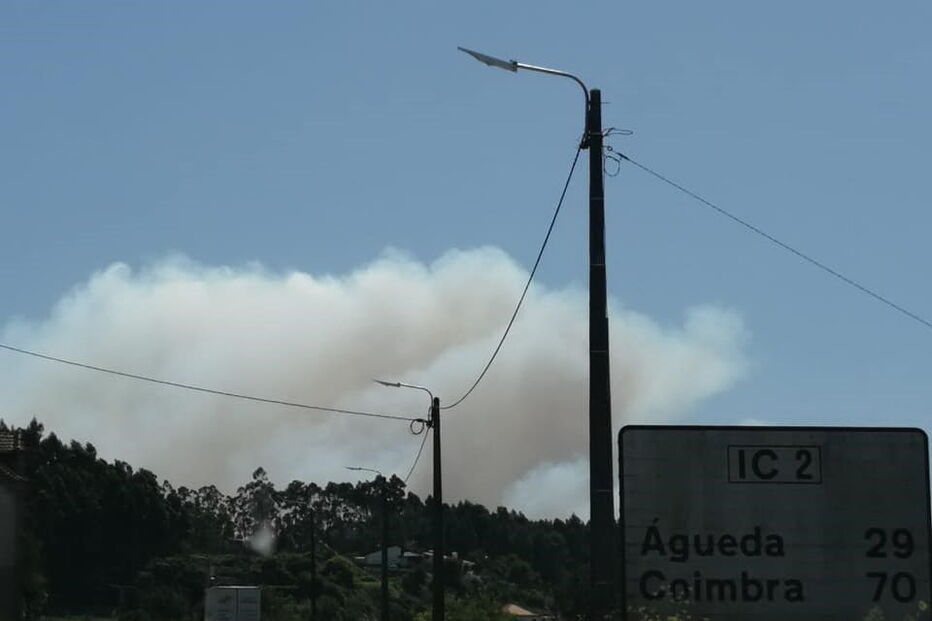 Incêndio no Pinheiro da Bemposta