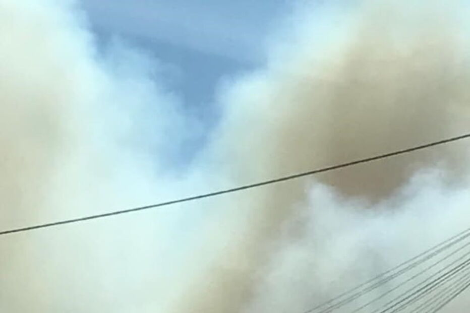 Incêndio no Pinheiro da Bemposta