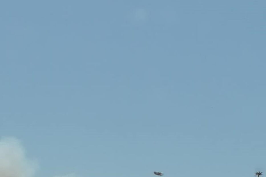 Incêndio no Pinheiro da Bemposta