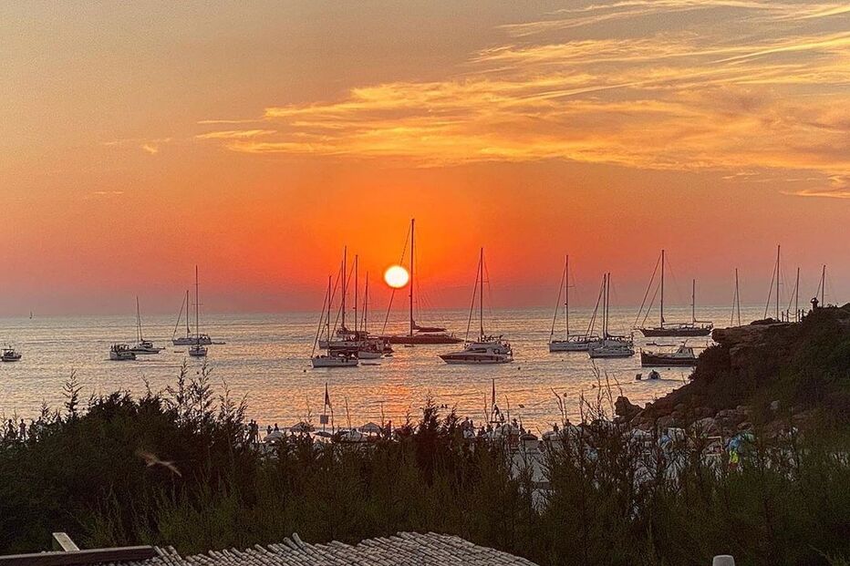 2020-08-28_19_09_43 vera.ribeiro.psi_118079223_125482868947818_8208266928544905526_n.jpg