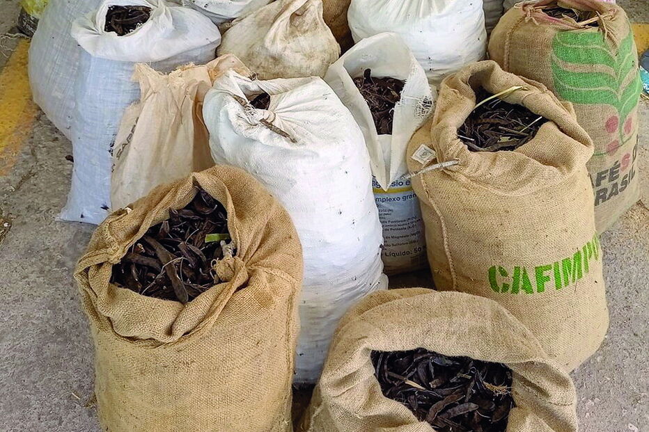 Dupla apanhada a furtar alfarroba em Loulé