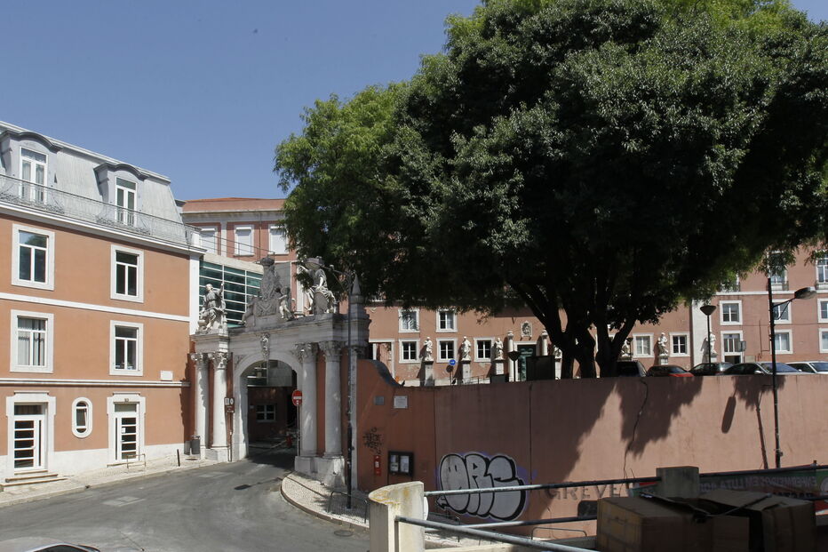 Imagem _JPA3187.JPG (6704492) (Milenium)