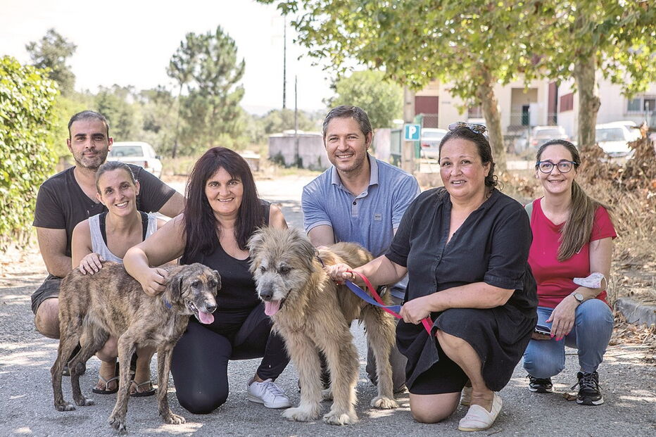 Cães resgatados pela Condeixa Patudos recuperam em família de acolhimento em Coimbra 