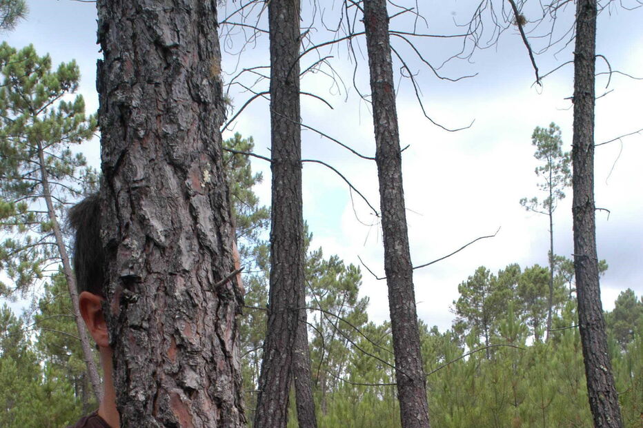 Imagem ARCANO/35677Y52SGK.F00 (6734693) (Milenium)