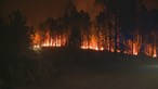 Fogo de Proença-a-Nova obriga a evacuar aldeias em perigo. Chamas combatidas por mais de 1000 bombeiros
