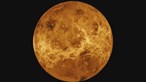 Sondas espaciais com 'cunho' português vão passar perto de Vénus a 9 e 10 de agosto