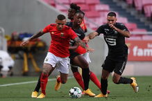 Benfica - Rennes