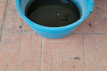 Animais vítimas de maus-tratos