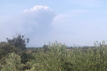 Dez meios aéreos e 150 bombeiros combatem chamas em Proença-a-Nova