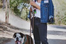 Jessica Athayde com os cães