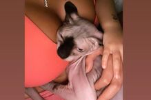 Georgina Rodríguez e o gato