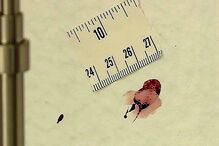 Vestígios de sangue deixados por um dos encapuzados 