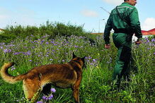 Militares fizeram buscas pelo homem