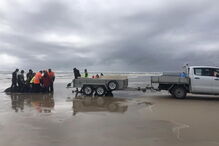 Só um terço dos animais foi resgatado com vida na Tasmânia