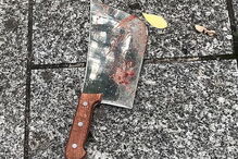 O cutelo usado no ataque