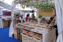 2020-09-29_10_34_35 DSC00351.JPG