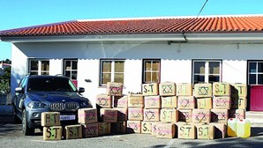 Algarve já apanhou 27 mil quilos de haxixe este ano