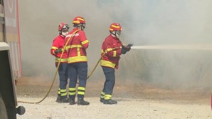 Incêndio de Proença-a-Nova alastra a mais dois concelhos