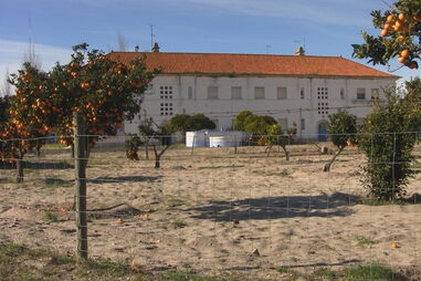 Recluso de cadeia em Grândola em fuga há dois dias