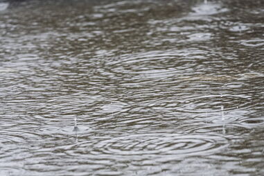 São Paulo vive segundo dia de caos e destruição devido a ventos ciclónicos e milhões continuam sem água e luz