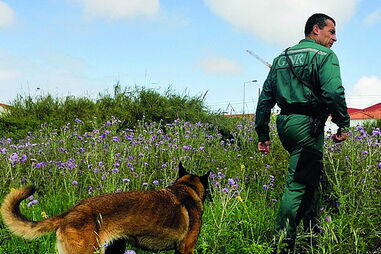 Militares fizeram buscas pelo homem
