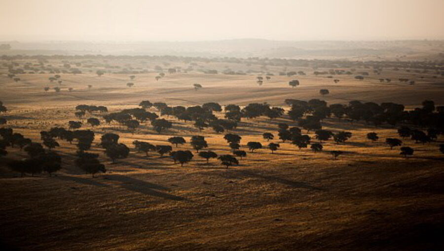 Alentejo - Imagem ilustrativa