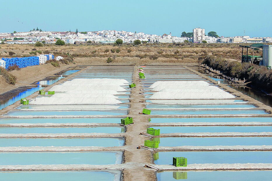 As salinas de Castro Marim renasceram nos últimos anos