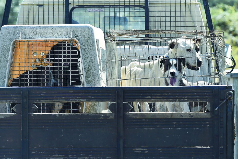 Imagem Abertura 1 - 36030672.jpg (6775469) (Milenium)