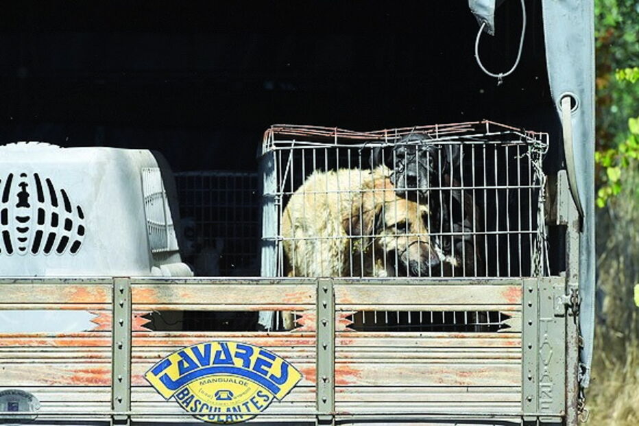 Imagem Abertura 2 - 36030686.jpg (6775467) (Milenium)