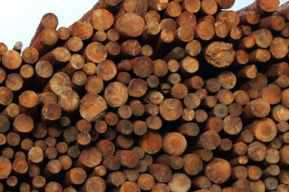 2020-09-07_14_14_25 14881398.JPG