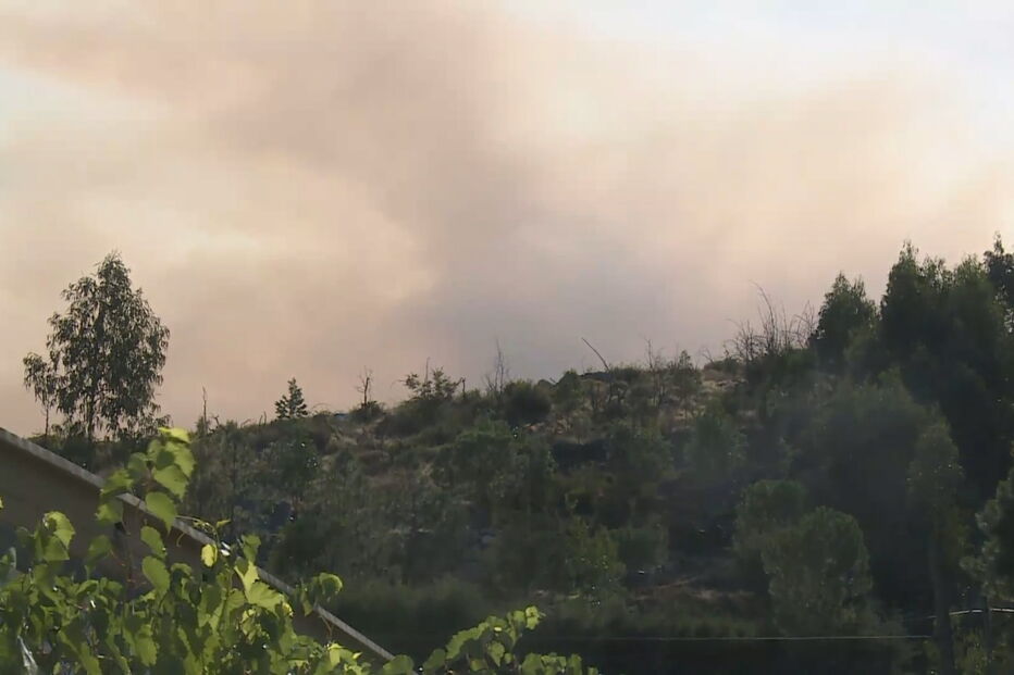 Fogo de Oliveira de Frades