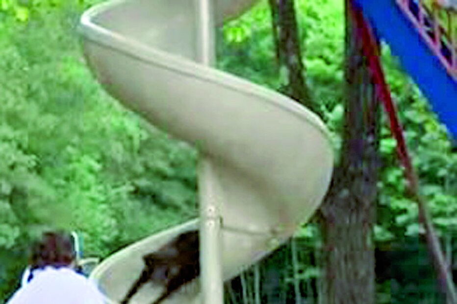 Cadela explode de alegria em parque infantil após confinamento