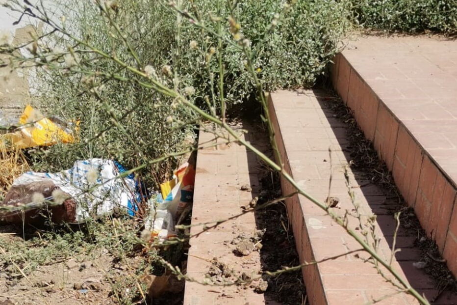 Animais vítimas de maus-tratos