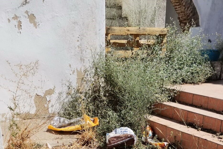 Animais vítimas de maus-tratos