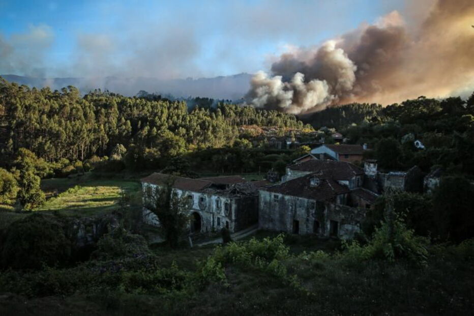 2020-09-08_16_24_00 36100677.JPG