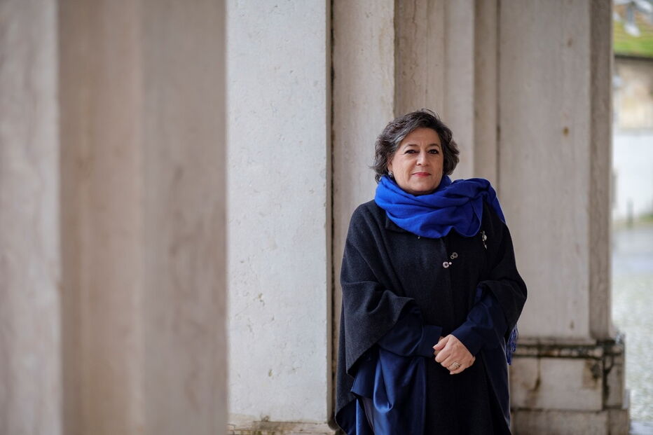 Imagem DSCF7223.JPG (6845413) (Milenium)