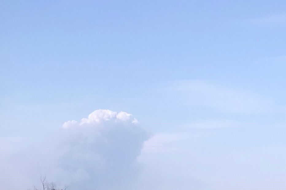 Dez meios aéreos e 150 bombeiros combatem chamas em Proença-a-Nova